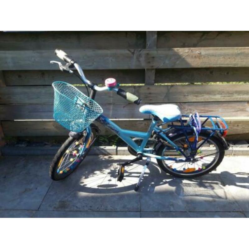 loekie kinderfiets voor kids van 4 tot 6 jaar blauw paars