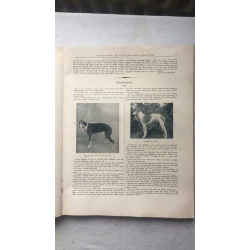 Kynologisch jaarboek 1932 De Hond