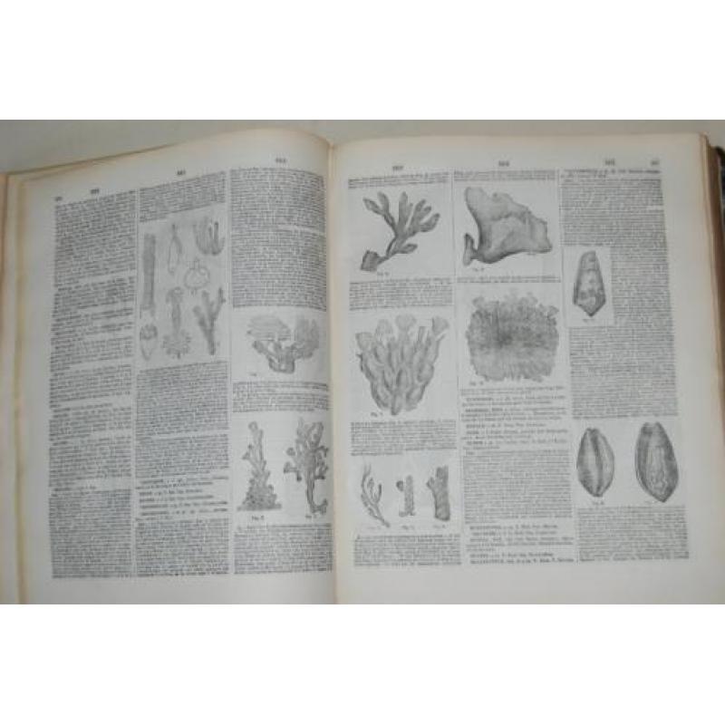 Franstalige encyclopedie in 2 delen natuur illustratie 1876