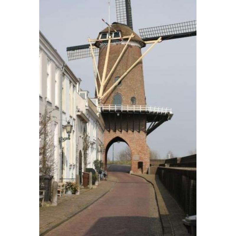 Olieverf Wijk bij Duurstede molen Rijn en Lek E. R. Rikkers