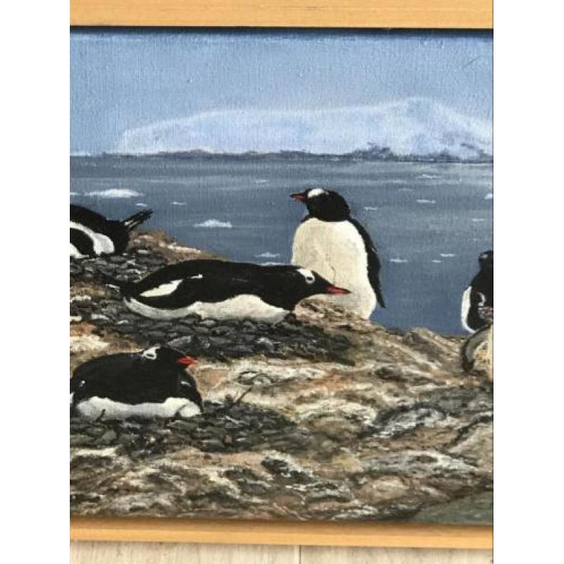 Pinguïn vogels schilderij 40x30 cm