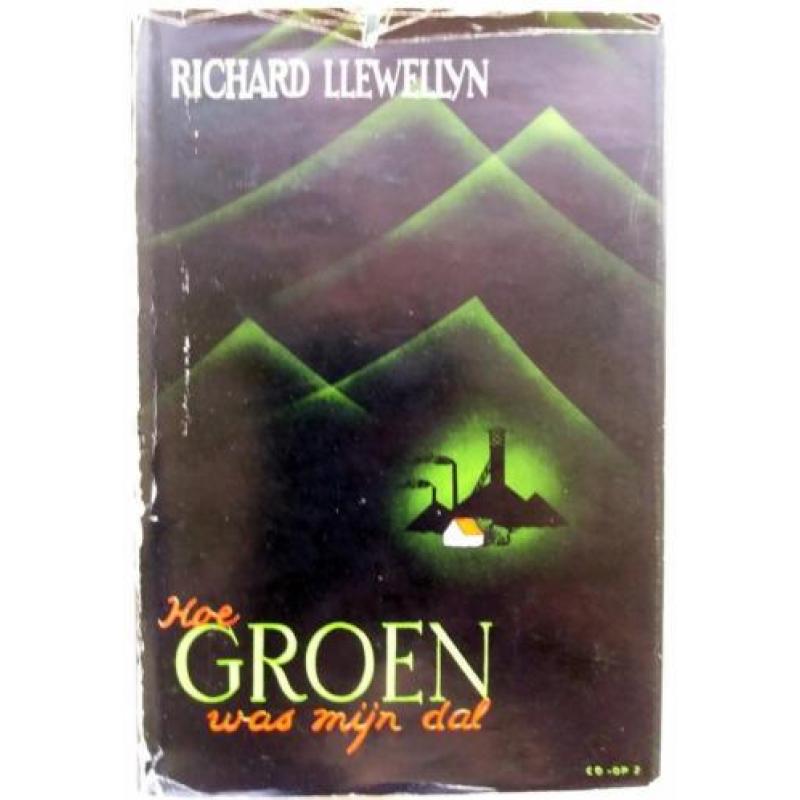 Richard Llewellyn - Hoe groen was mijn dal