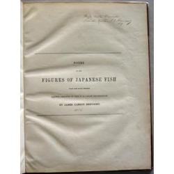 Notes on Japanese Fish 1856 Brevoort - Ichtyologie Vissen