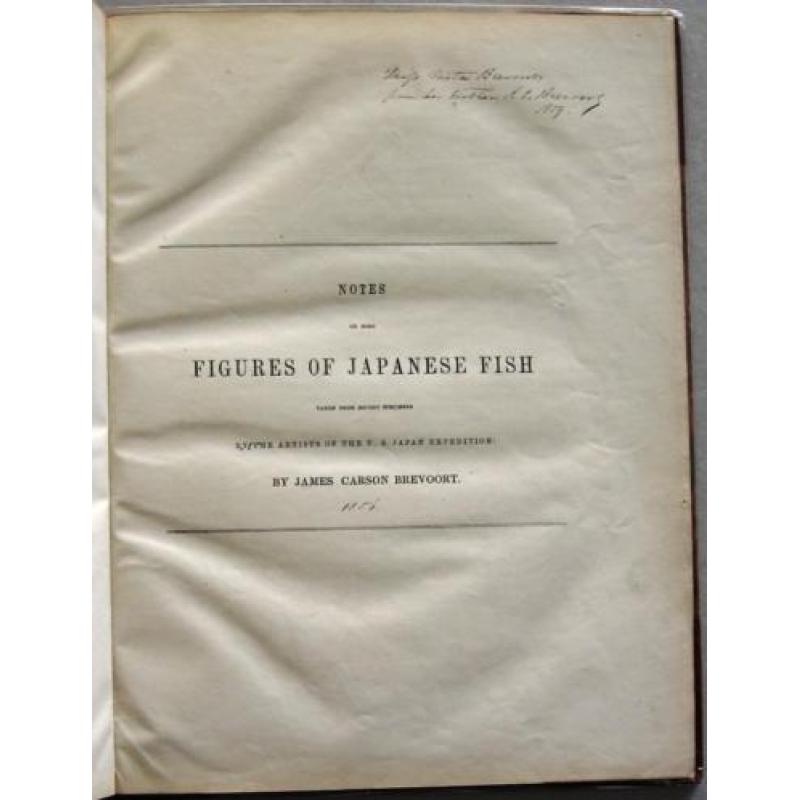 Notes on Japanese Fish 1856 Brevoort - Ichtyologie Vissen