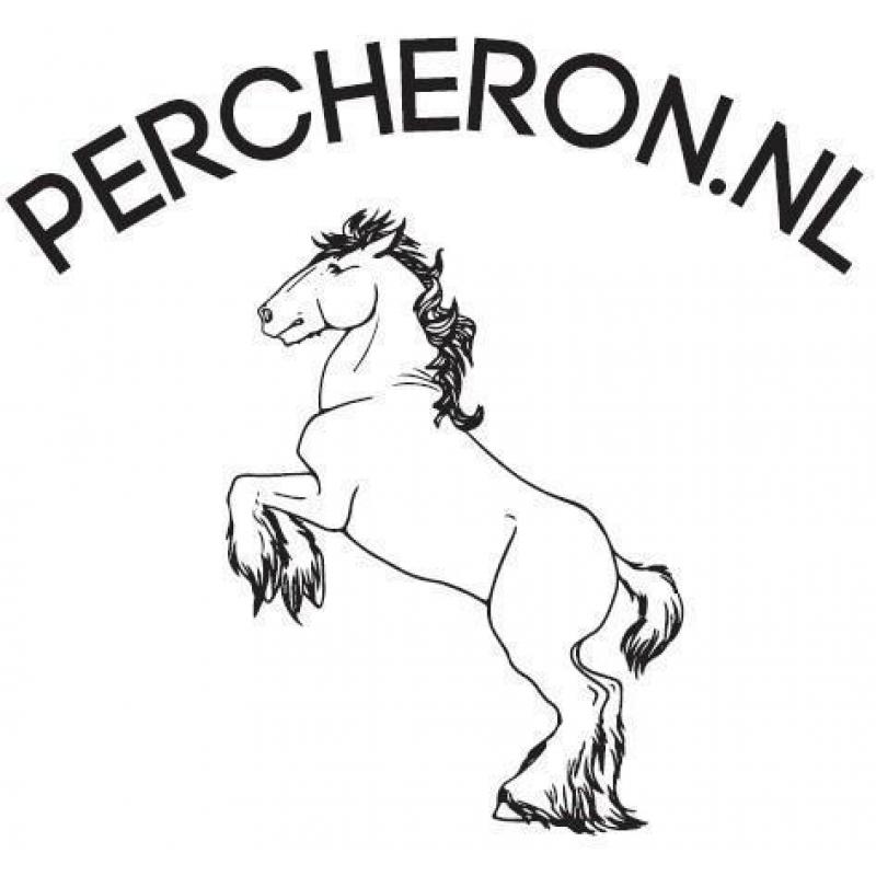 Meerdere Percheron's te koop