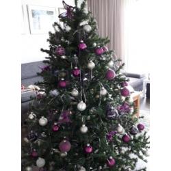 Kerstboom 1.80 hoog excl ballen incl losse verlichting+poot