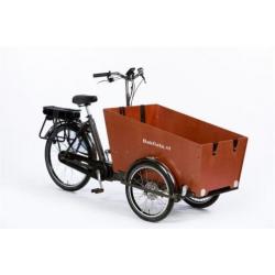 Bakfiets.nl Cargotrike classic Narrow steps