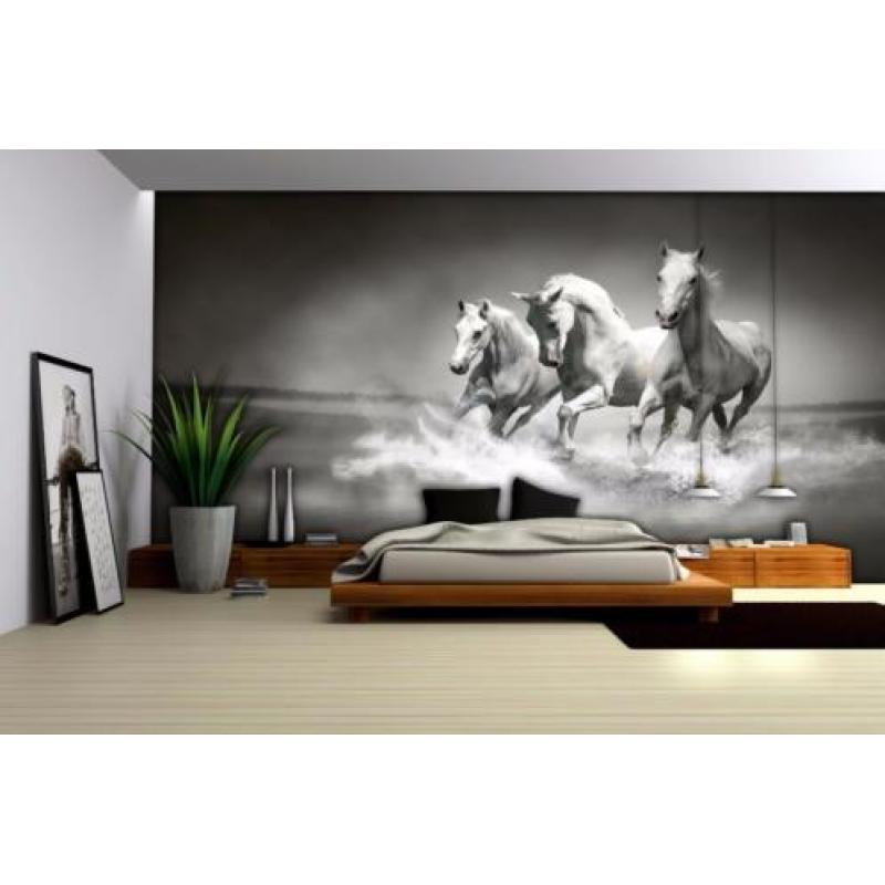 Paarden behang Paarden fotobehang Zwart/wit * Vliesbehang