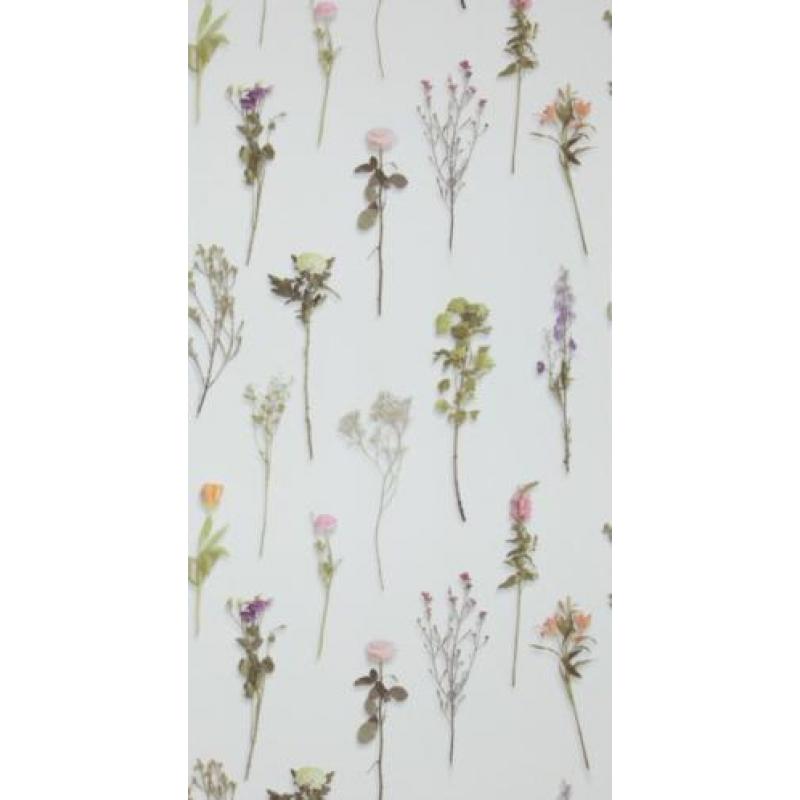 BLOEMEN BEHANG - BN Sweet Dreams 218241